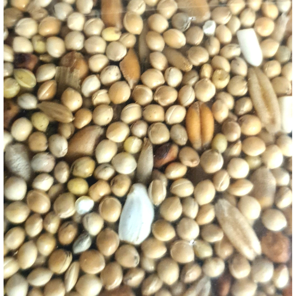 Graines pour grandes perruches sac de 3 kg pour oiseaux