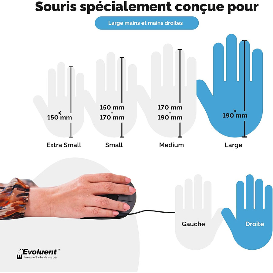 Evoluent VerticalMouse D Large