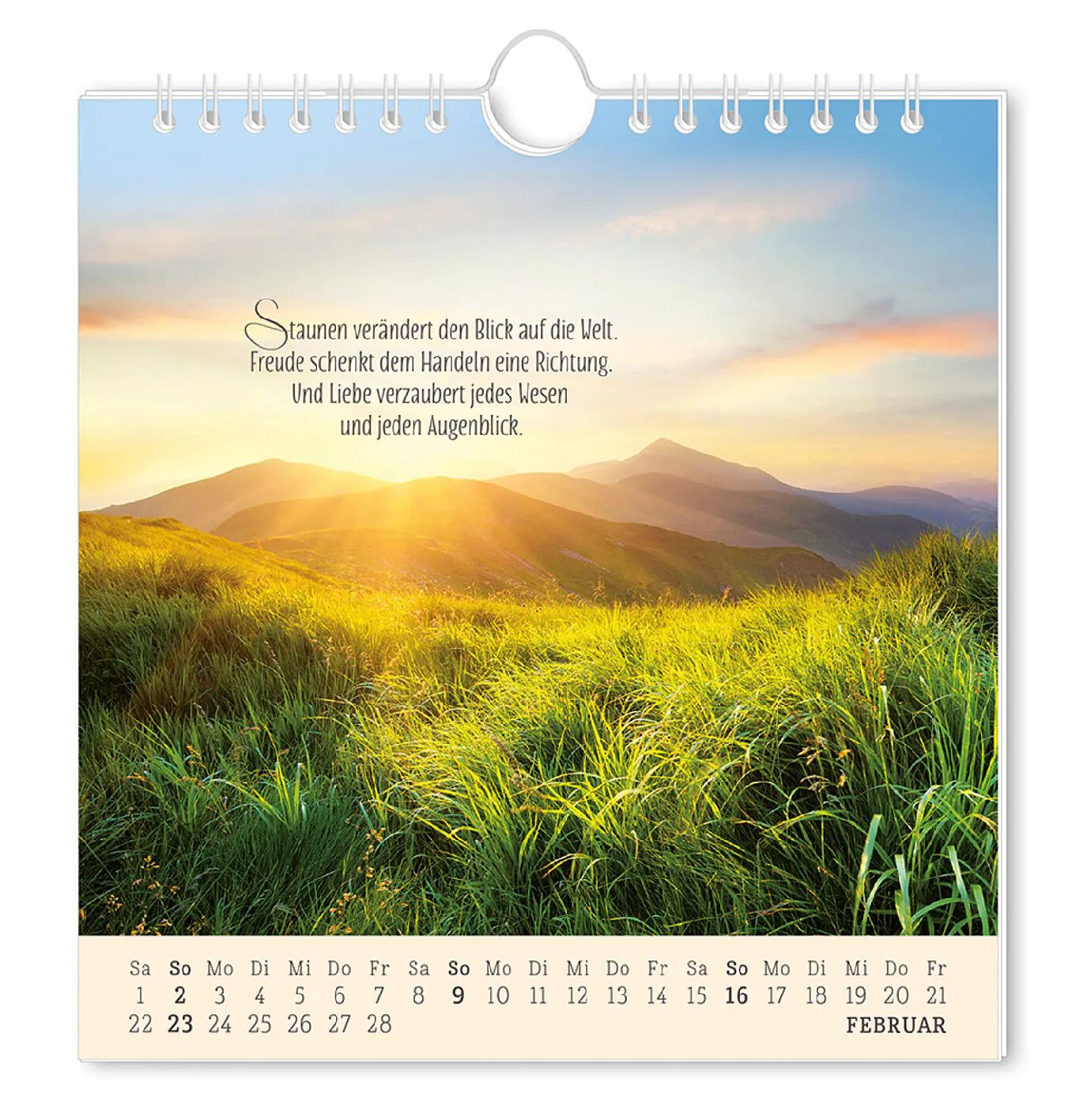 Postkarten Kalender, 2025, Lebenszeichen