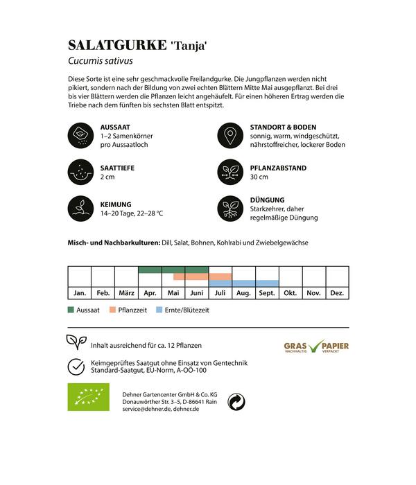 Dehner Bio-Saatgut Salatgurke 'Tanja'