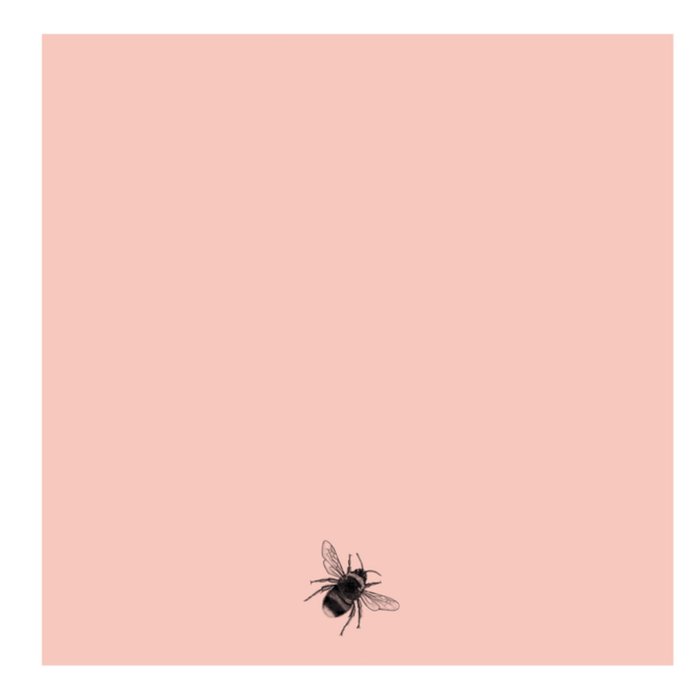 Greetz | Geboortekaart | bijtje | meisje