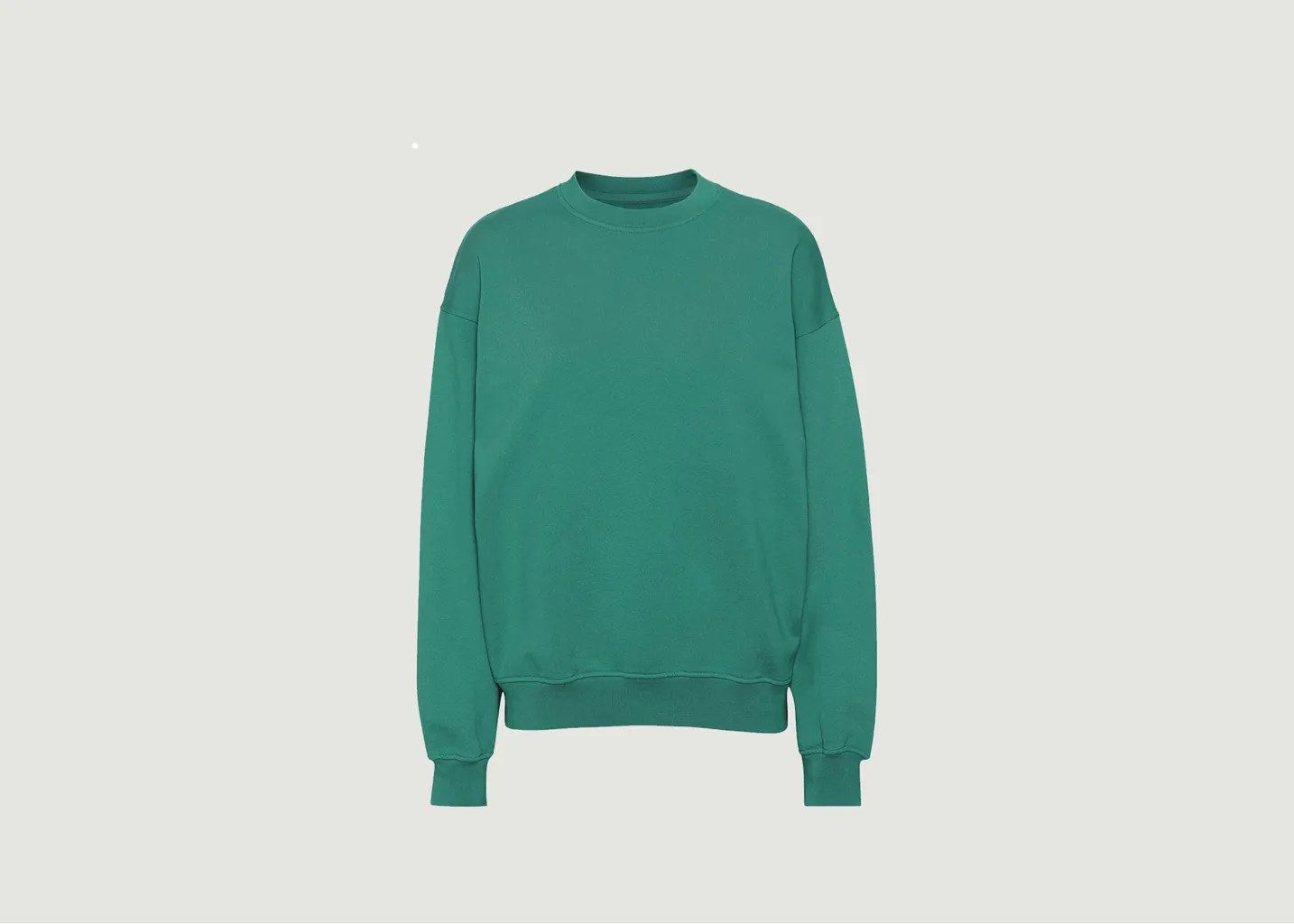 Sweatshirt oversize coton biologique Colorful Standard