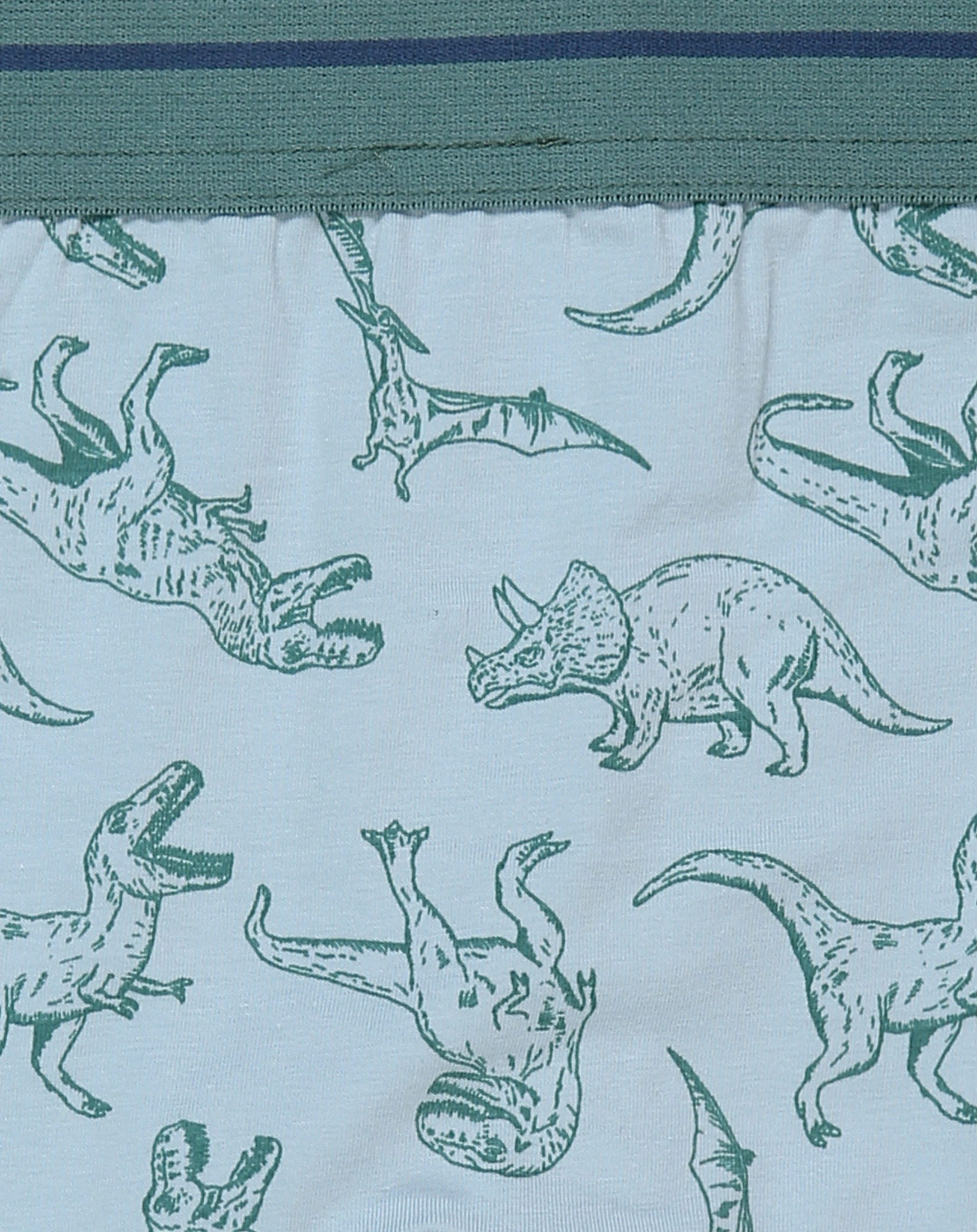 Boxershorts DINO 2er-Pack in blau/grün