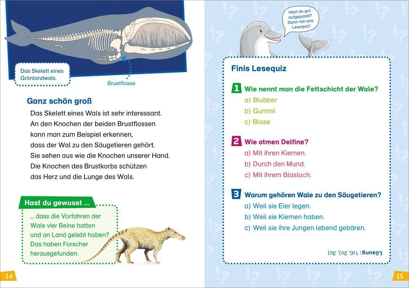 Wale und Delfine / WAS IST WAS Erstes Lesen Bd.1
