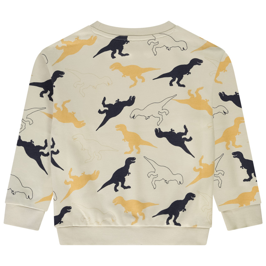 Sweat molleton imprimé dinos pour garçon