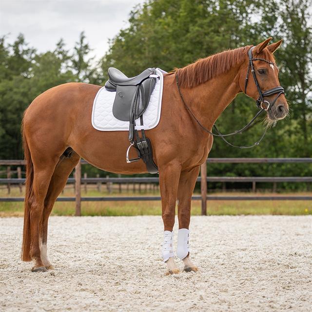 Beenbeschermers QHP Champion Voor Wit