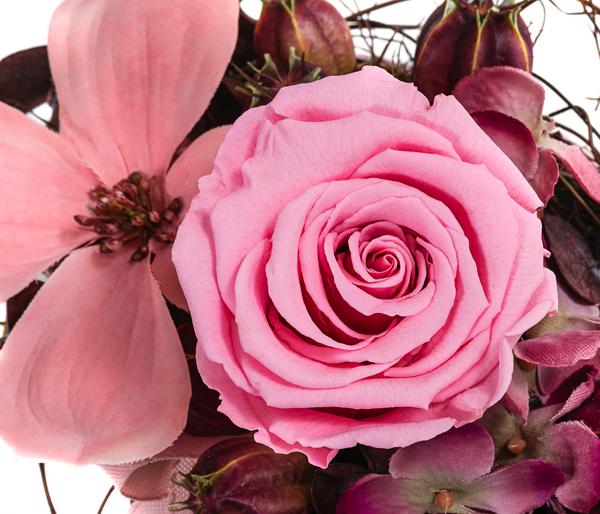 Dehner Keramik-Jardiniere mit Longlife-Rose