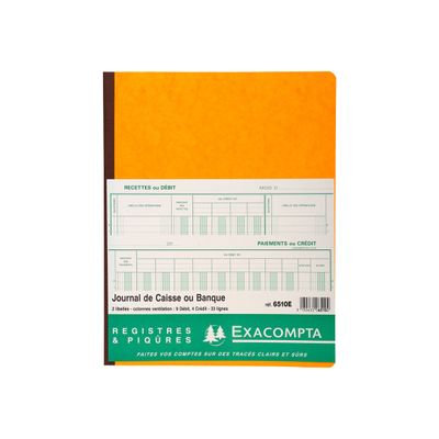 Exacompta - Journal de caisse ou banque - 13 colonnes : 9 débits/4 crédits - 32 x 25 cm vertical