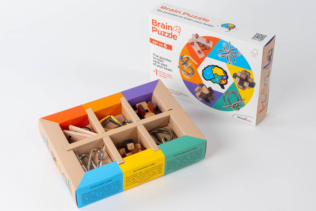 Brain Puzzle set of 6