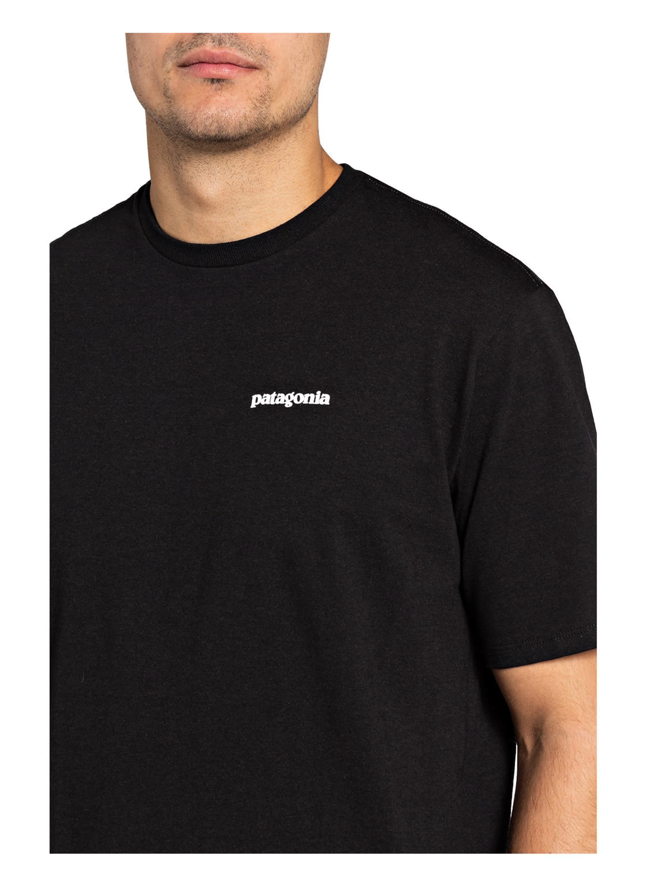 patagonia T-Shirt P-6