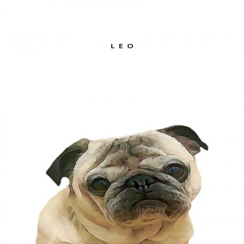 Retrato personalizado em tamanho A4 do seu animal de estimação em branco.