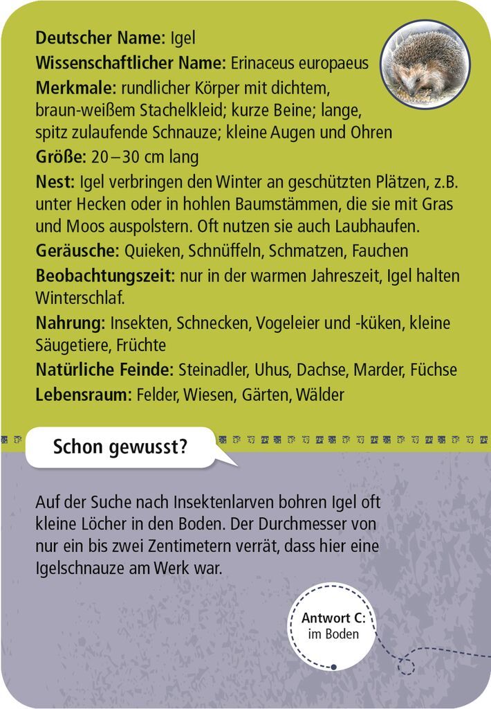 Kartenset EXPEDITION NATUR - 50 TIERE DER NACHT