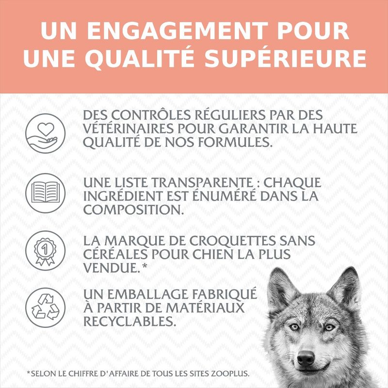 Wolf of Wilderness Adulte Great Desert, dinde