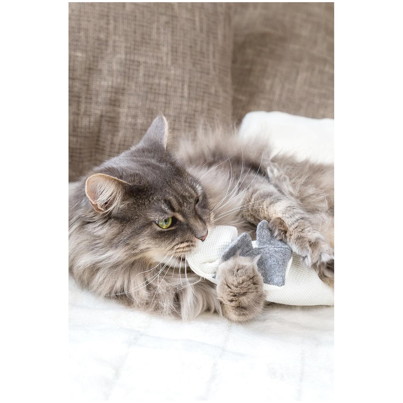 Kater Kasimir 4 x Mausbert - Die 2-in-1 Spielmaus für Katzen, handgemacht aus BIO-Baumwolle mit BIO-Katzenminze-, BIO-Baldrian- und Matatabi-Füllung