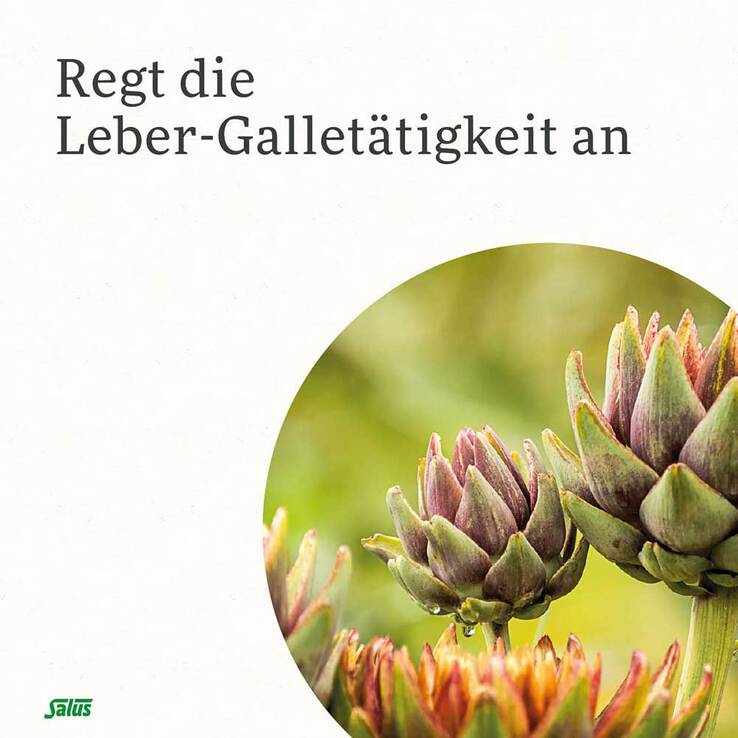 Gallexier Kräuterbitter Elixier Salus Flüss.z.E., 3X20 ml