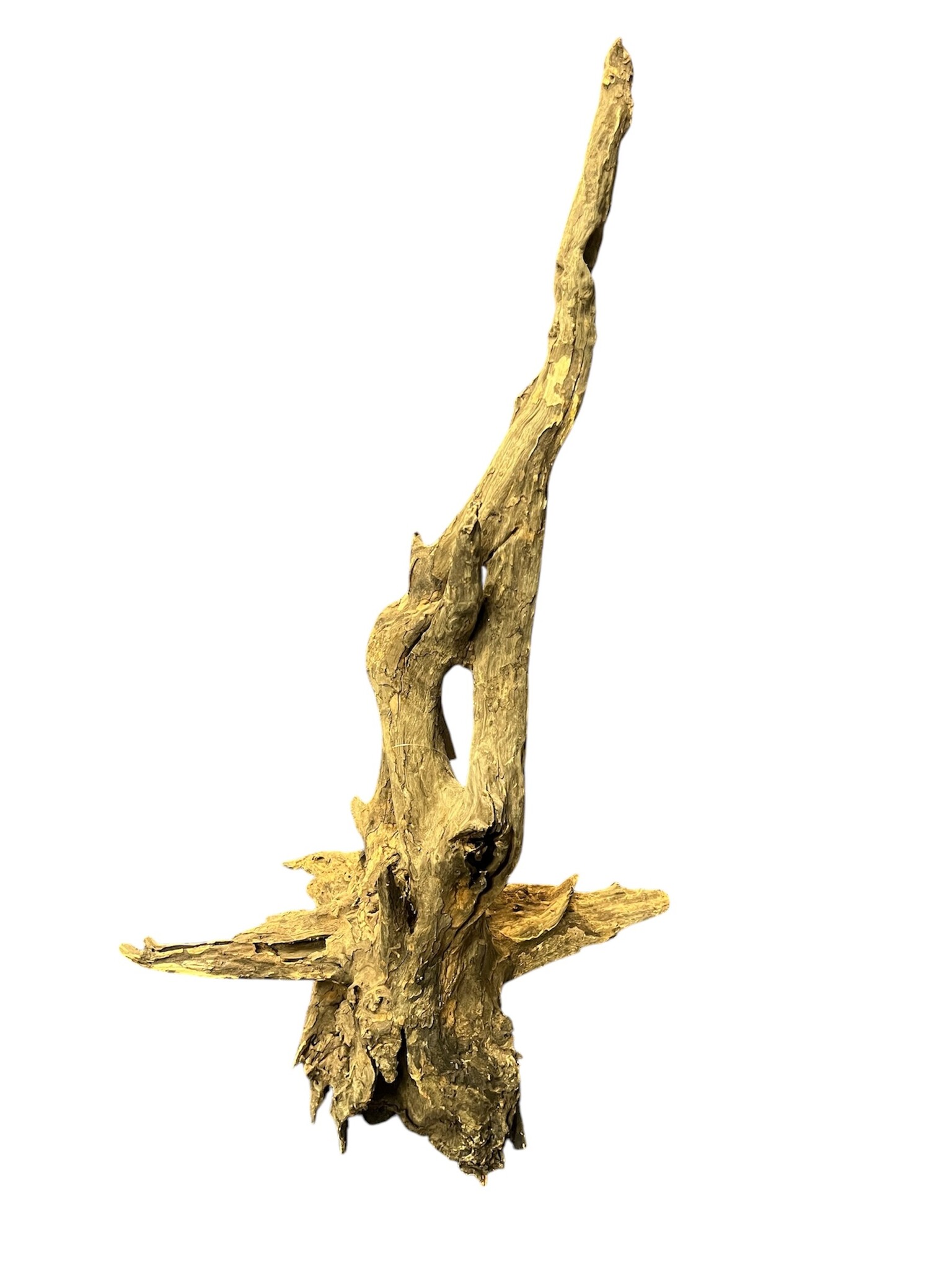 AquastoreXL Corbo Root XL NR04 4,7kg