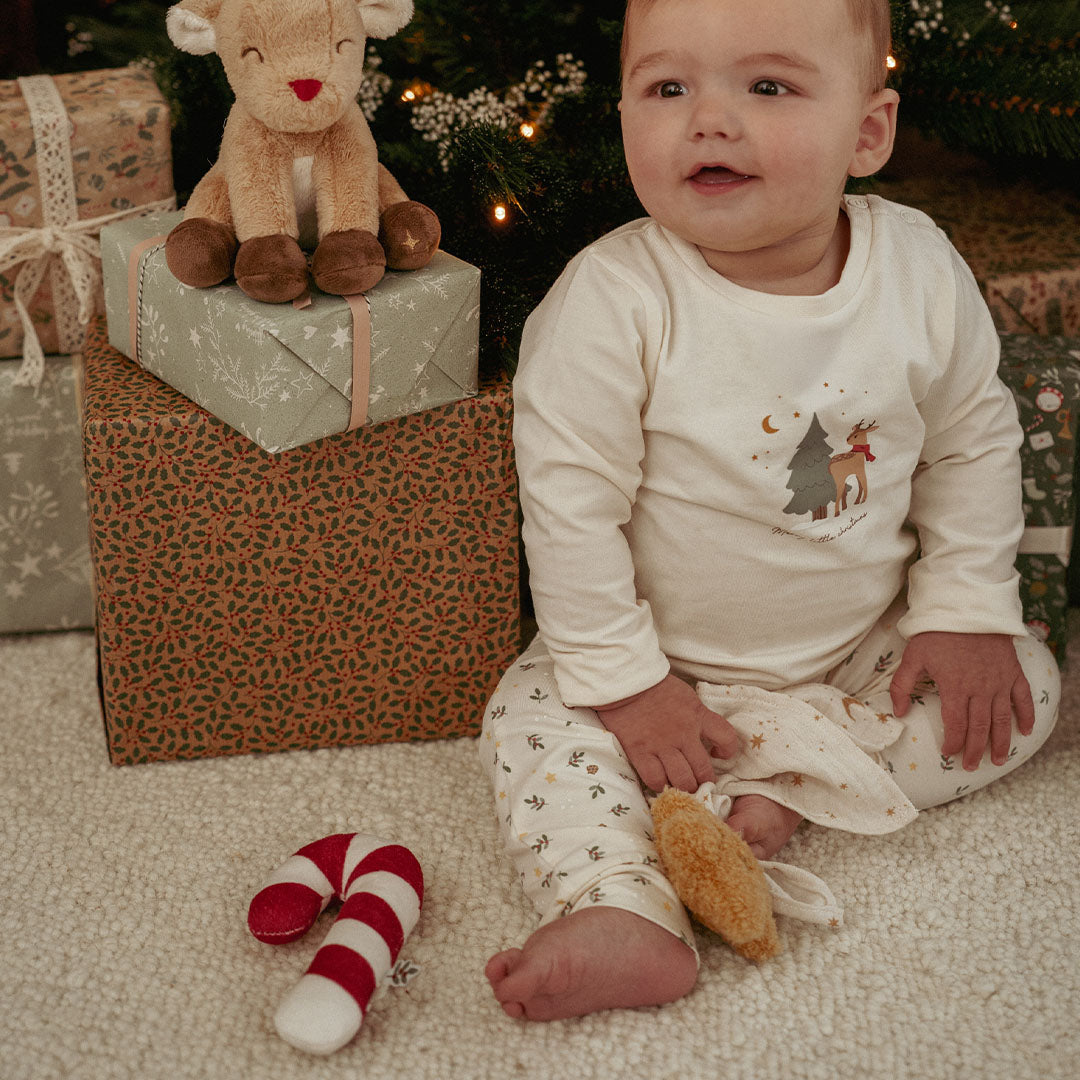 little dutch giftset newborn kerst