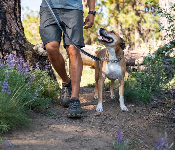 RUFFWEAR® Hundehalsband Chain Reaction™