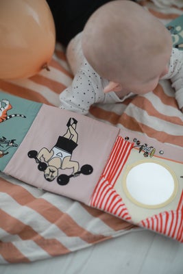 Pippi Langstrømpe  Sirkus Raslebok