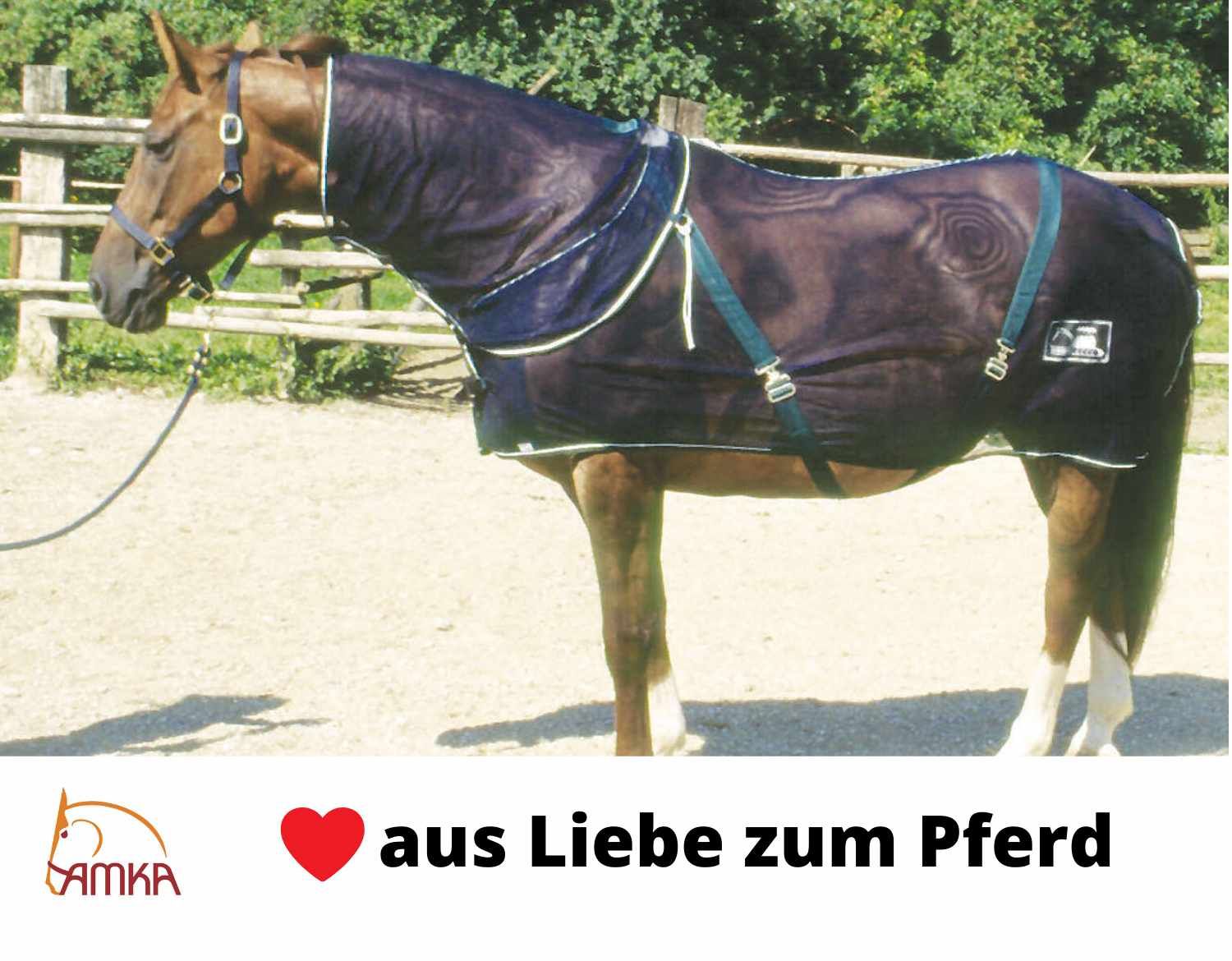 AMKA Fliegendecke mit Sattelausschnitt  Netzdecke mit Sattelausschnitt, 150 cm