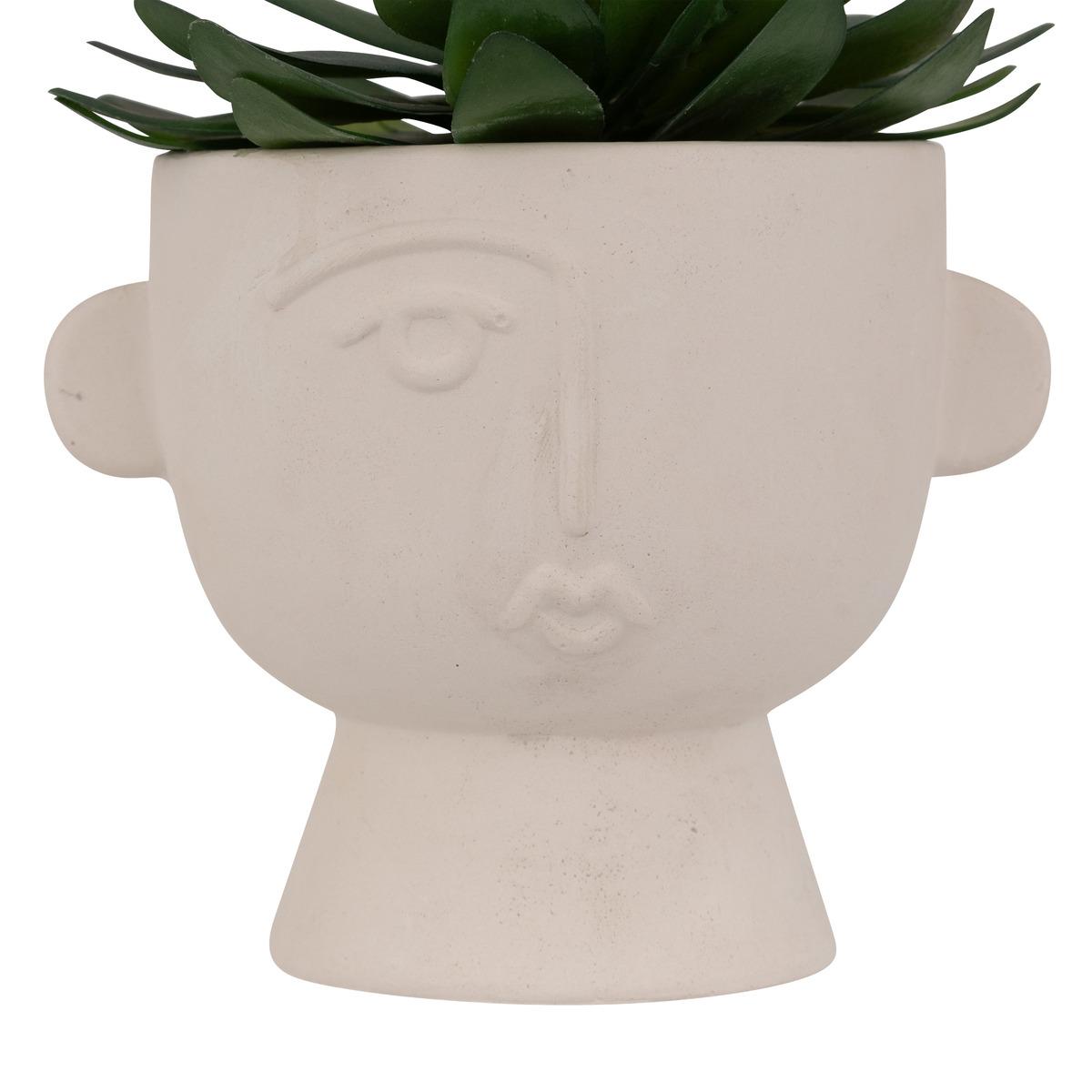 PLANTE GRASSE POT CIMENT DUSTY H.22CM