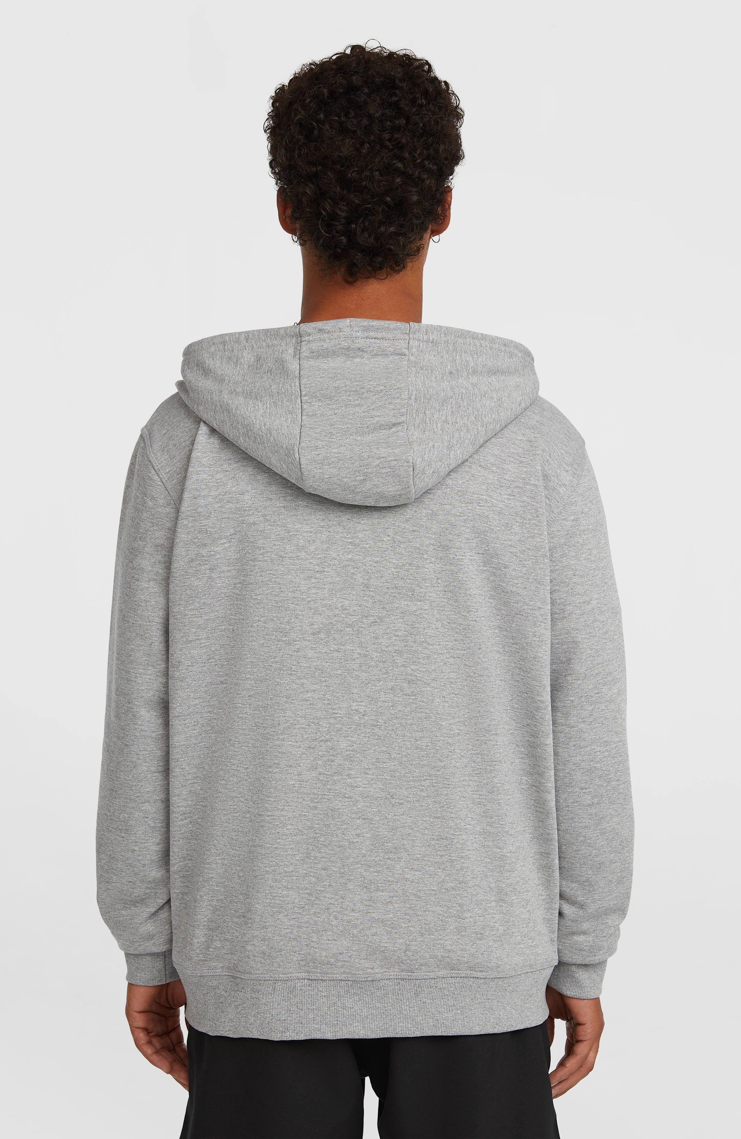 Small Logo hoodie met volledige rits