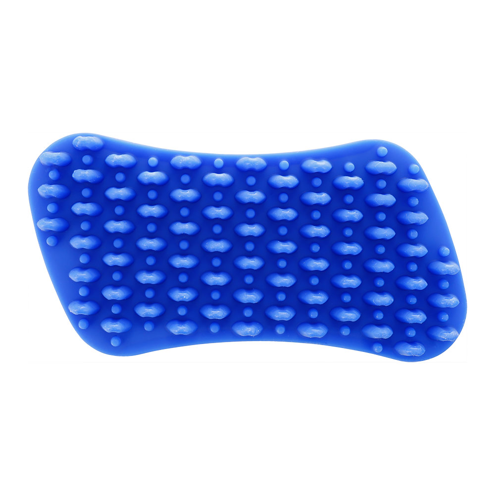 Brosse petits chiens et chats à poils ras bleue