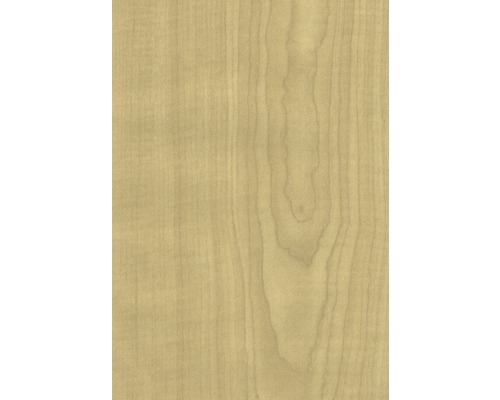Plafondlijst zilveresdoorn 17x36x2600 mm