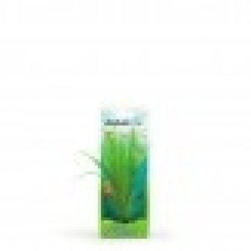 Planta artificial Valisneria 20 cm cor verde