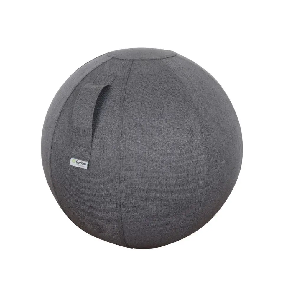 Ergonomische zitbal - 65 cm - Grijs