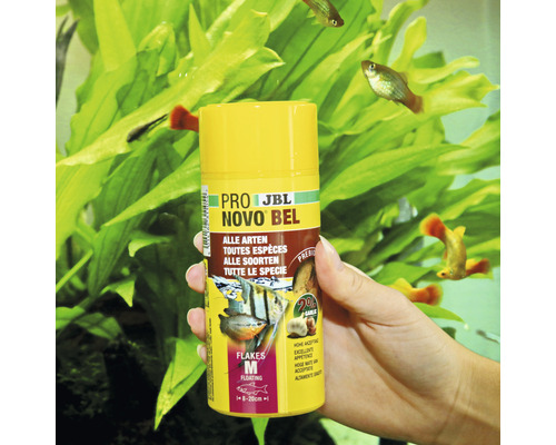 Vlokkenvoer JBL PRONOVO BEL FLAKES maat M 250 ml