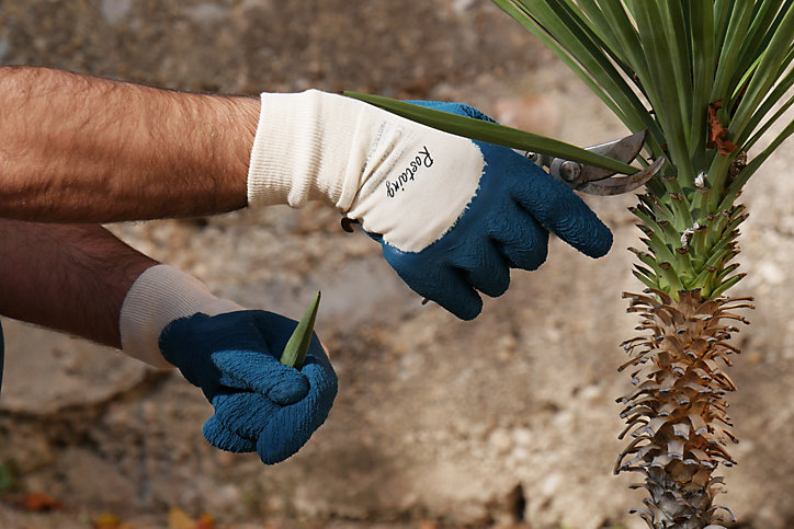 Gant de plantation mixte Rostaing Protect Taille 10