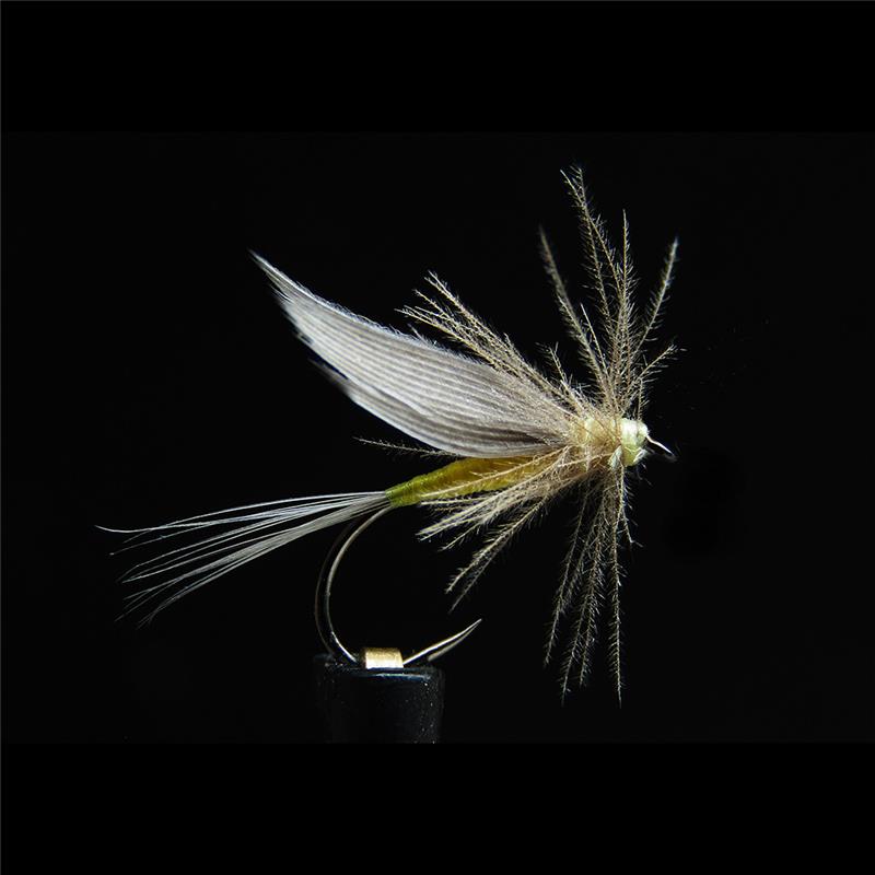 Mouche Jmc Ephémères Ornans 21 Bl