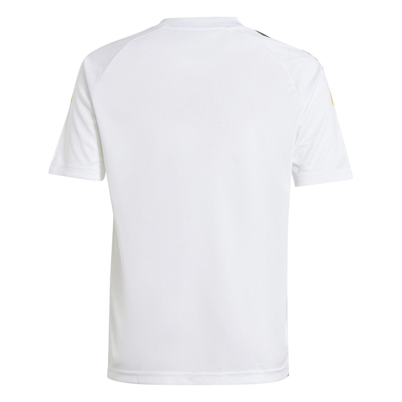 Adidas Duitsland Thuisshirt Fans 2024-2026 Kids