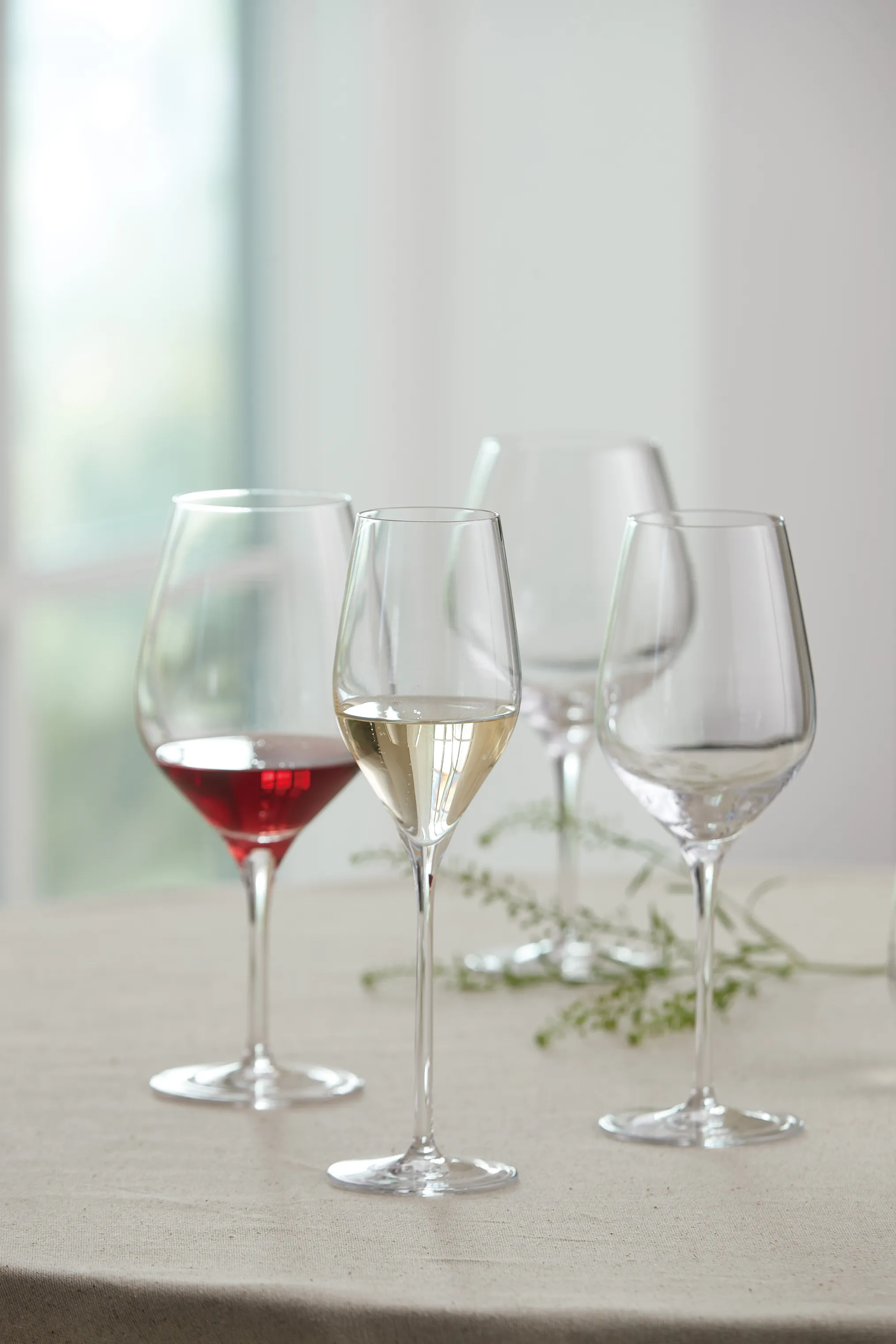 Aida Passion Connoisseur Rødvinsglas - 2 stk.