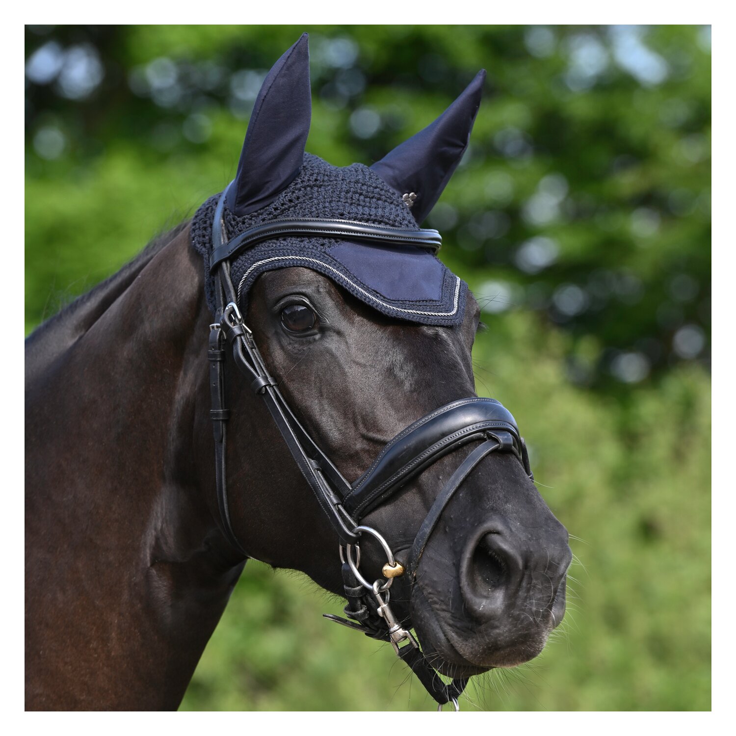 bucas Show-Line Collection Fliegenohren  - navy/grey - WB
