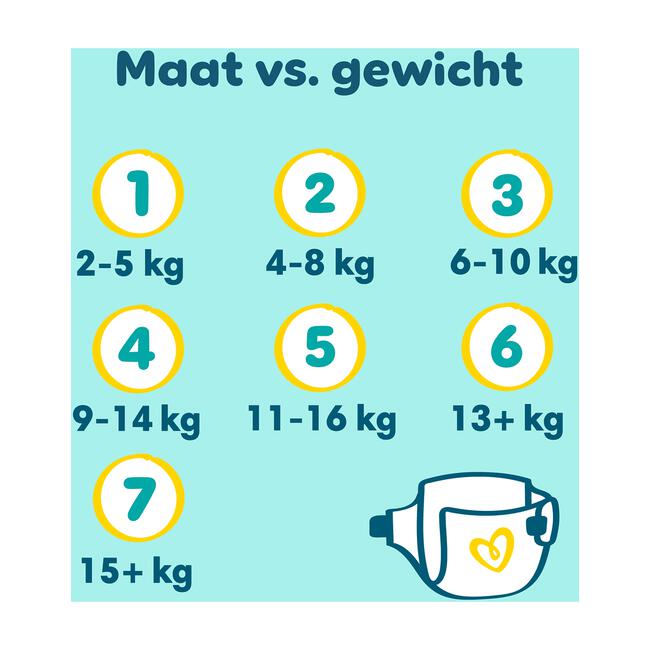 Pampers Premium Protection Luiers Maat 6 13-18 KG 19 stuks