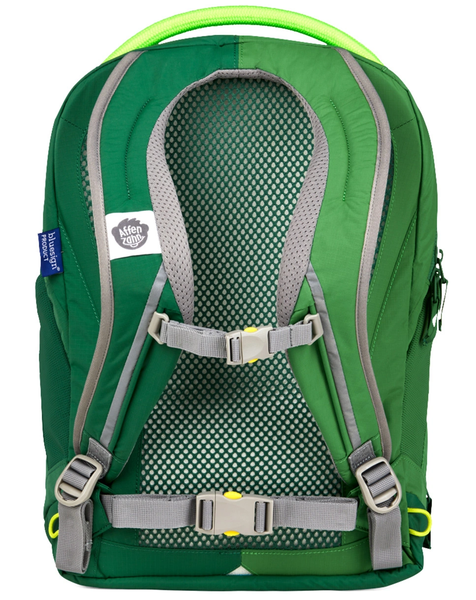 Kinderrucksack DAYDREAMER - FROSCH (36x26x13) in grün