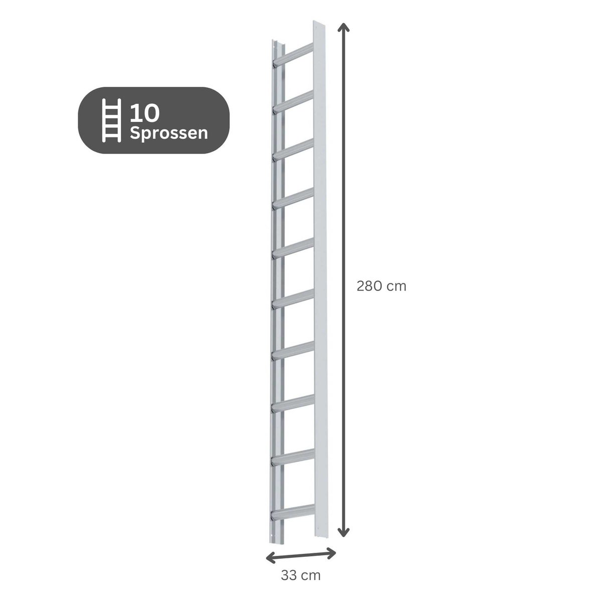 PROREGAL Dakladder Aluminium Naturel 10 Sporten