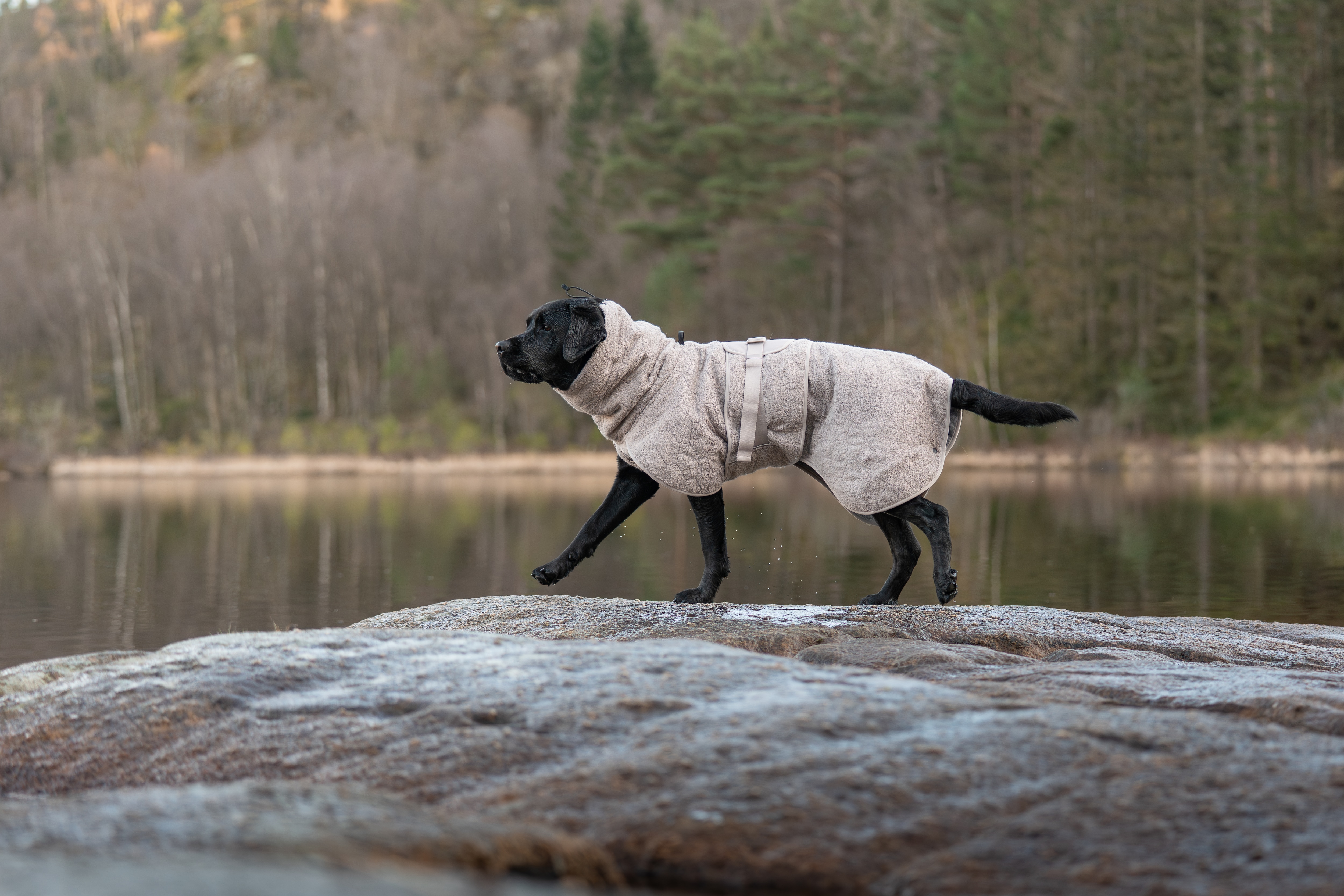 Kjøp Non-Stop Dogwear drying coat fra Hekta på tur!