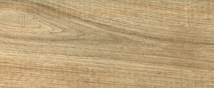 Carrelage sol effet bois naturel Woodland 15 x 90 cm