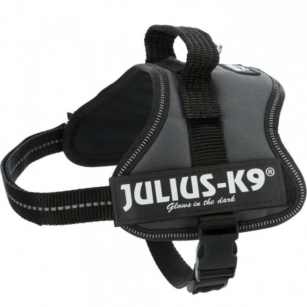 Julius-K9 Peitoral Julius K9 XXS Cinzento