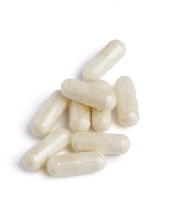 Biotics Chondrosamine-S Capsules 90CP