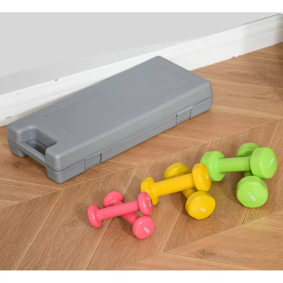 HOMCOM Hantel Set 6 kg bunt