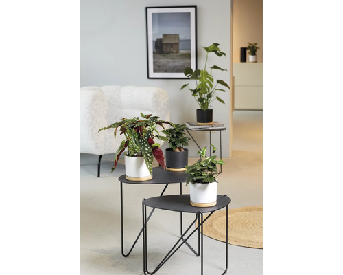Soendgen keramiek en houten bloempot, Ø 22 cm, 22 x 22 x 20 cm, wit
