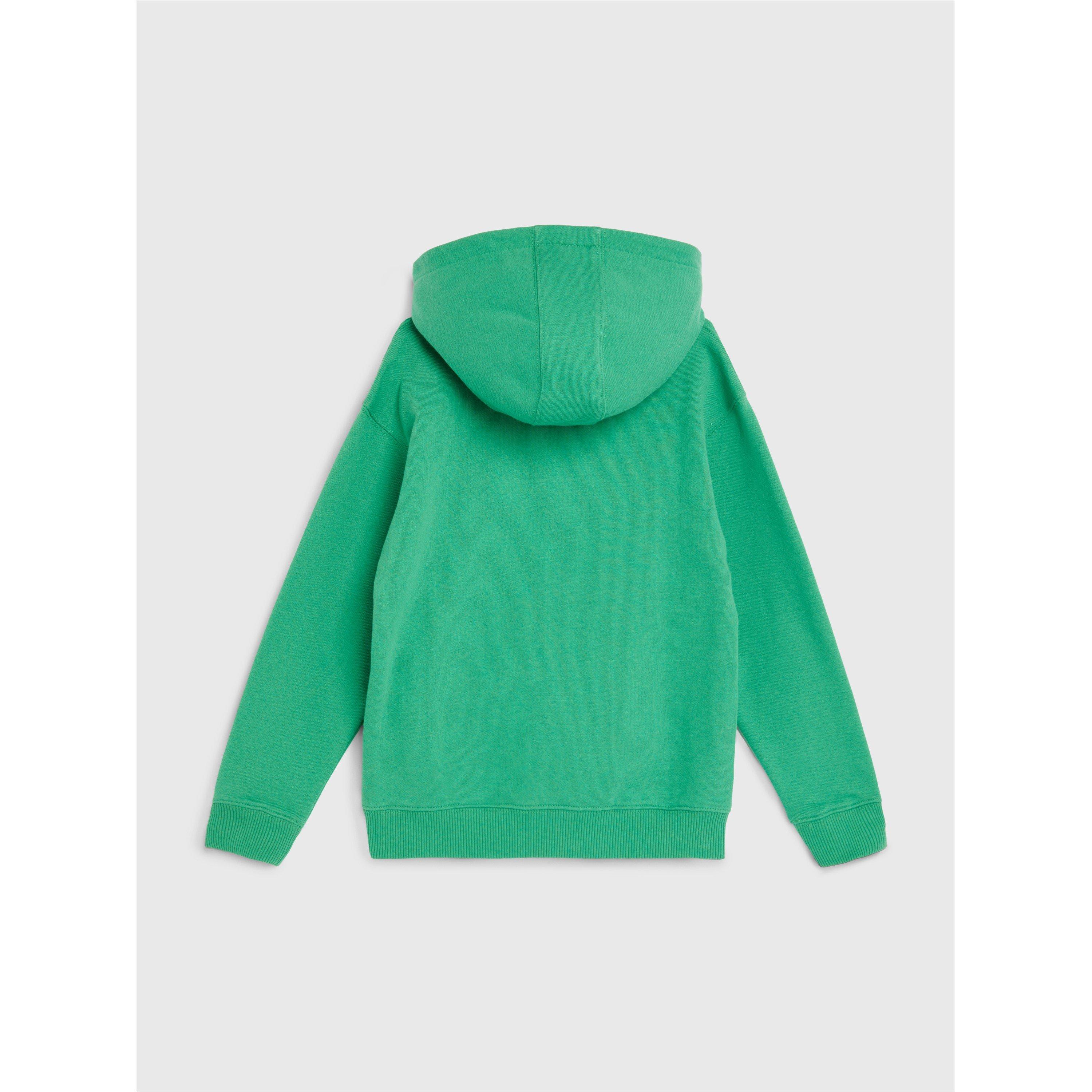 Tommy Hilfiger Arched Hoodie