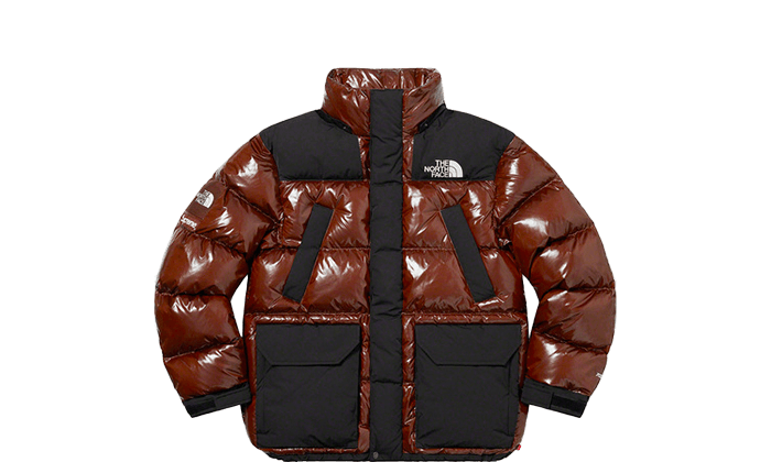 Supreme The North Face 700-Fill Down Parka Brown