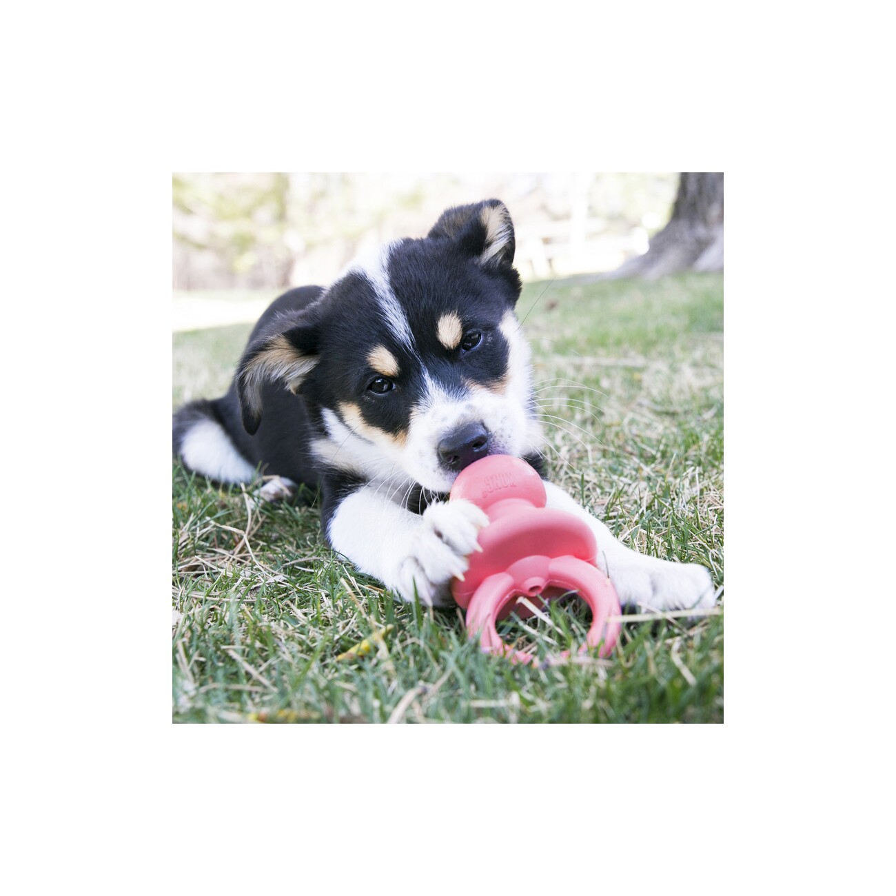 KONG Spielzeug Puppy Binkie S
