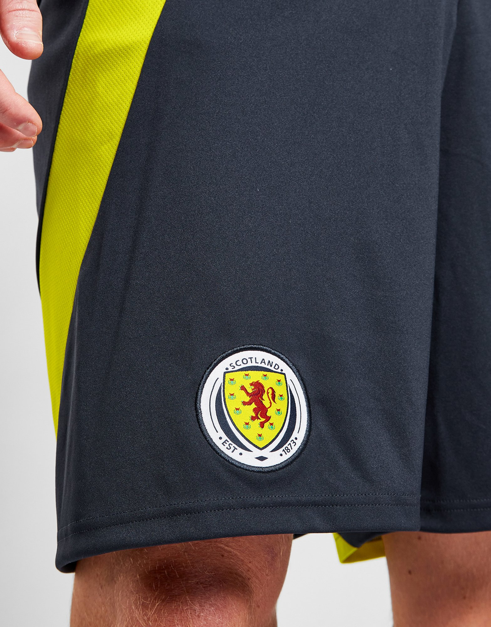 adidas Short Ecosse 2024 Match Domicile Homme