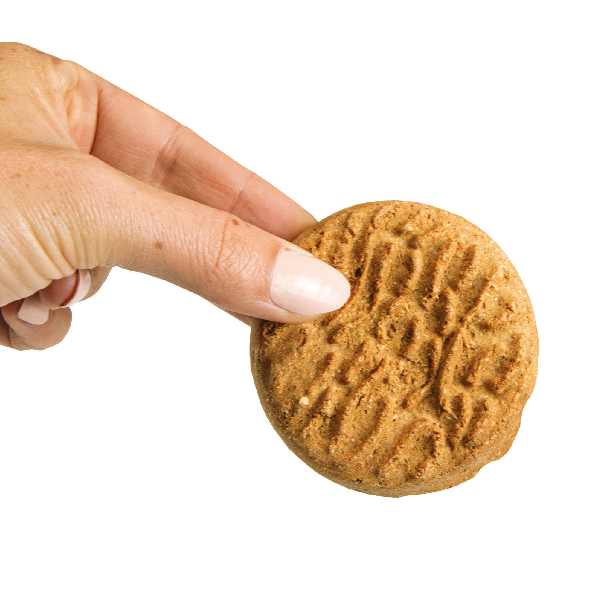 Schecker Hundekuchen - Maxi-Hundecookie